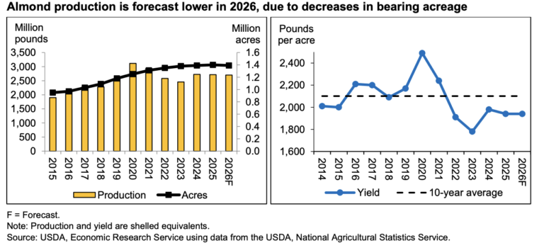 California almond bearing acreage and production